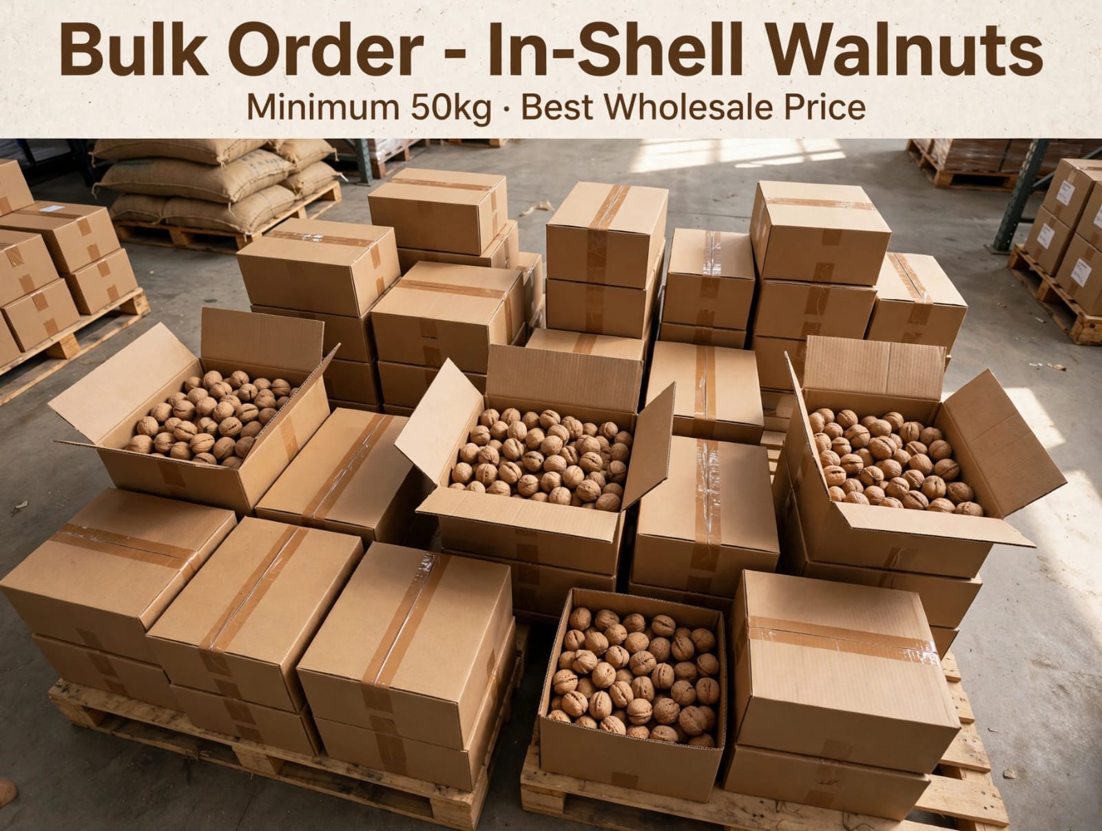 Kashmiri Walnuts - Bulk Lot 50KG to 5000KG - Direct from Kashmiri Growers.
